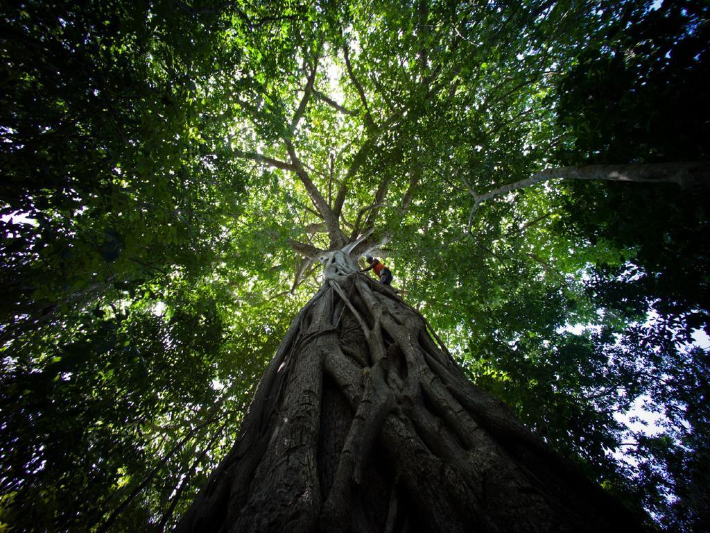 Pousada La Bonita Baía Formosa Dış mekan fotoğraf