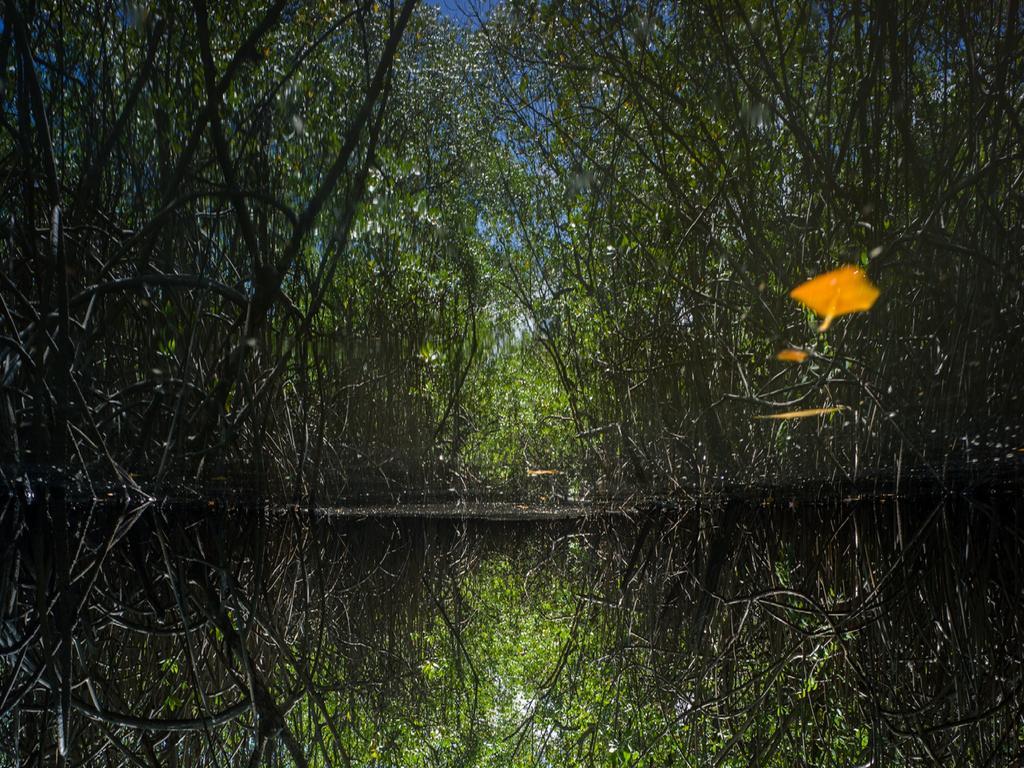 Pousada La Bonita Baía Formosa Dış mekan fotoğraf